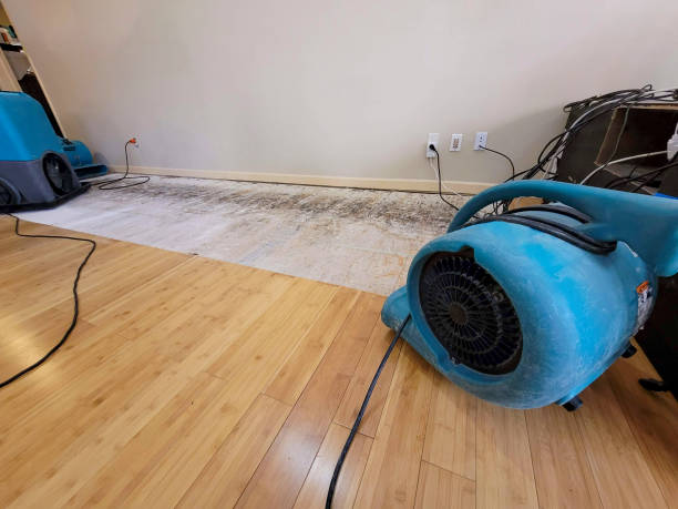 Professional Sewage Cleanup technician working in Benwood, WV
